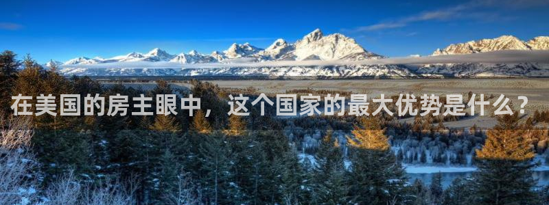 先锋娱乐集团：在美国的房主眼中，这个国家的最大优势是什么？