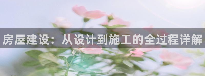先锋电玩娱乐：房屋建设：从设计到施工的全过程详解