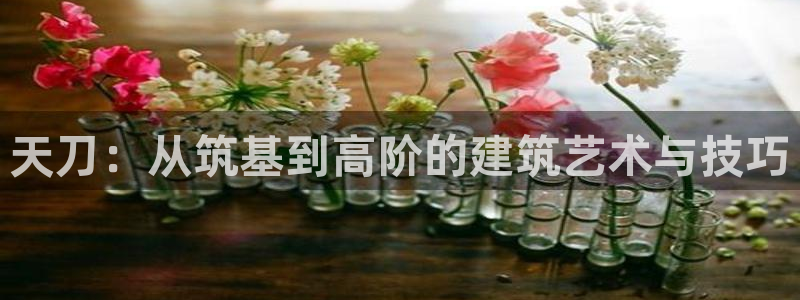 先锋娱乐侠：天刀：从筑基到高阶的建筑艺术与技巧