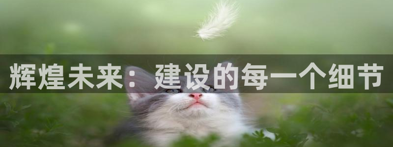 亚洲先锋娱乐登录：辉煌未来：建设的每一个细节