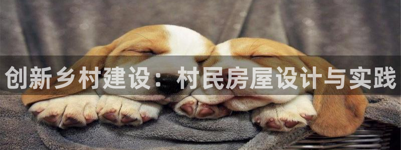 先锋娱乐游戏大厅下载：创新乡村建设：村民房屋设计与实践