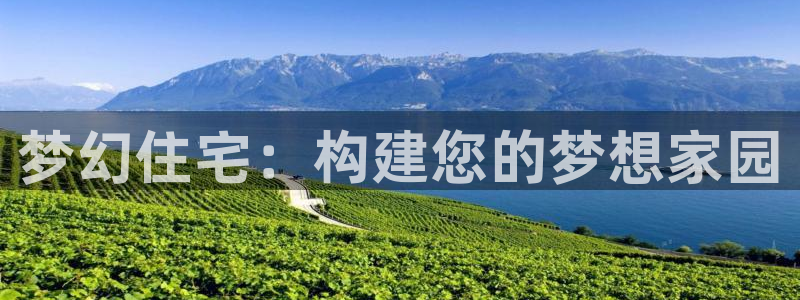 先锋娱乐入口：梦幻住宅：构建您的梦想家园