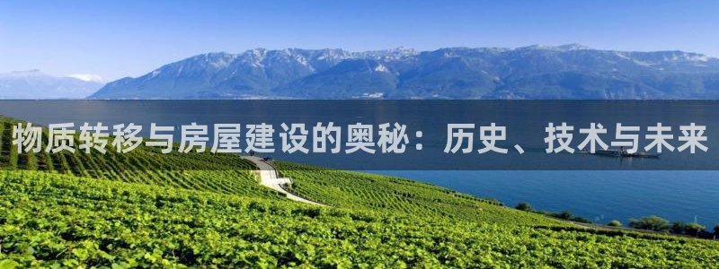 先锋娱乐转进去钱：物质转移与房屋建设的奥秘：历史、技术与未来