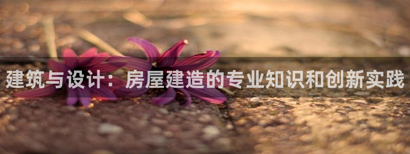 先锋娱乐在线：建筑与设计：房屋建造的专业知识和创新实践
