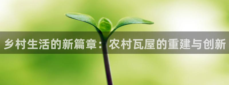 先锋电子旗下先锋娱乐：乡村生活的新篇章：农村瓦屋的重建与创新