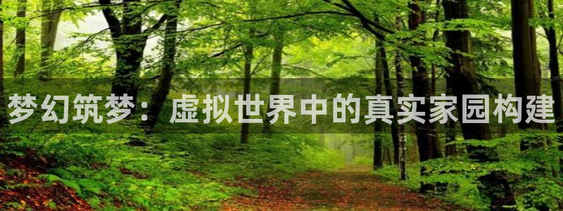先锋娱乐系统：梦幻筑梦：虚拟世界中的真实家园构建