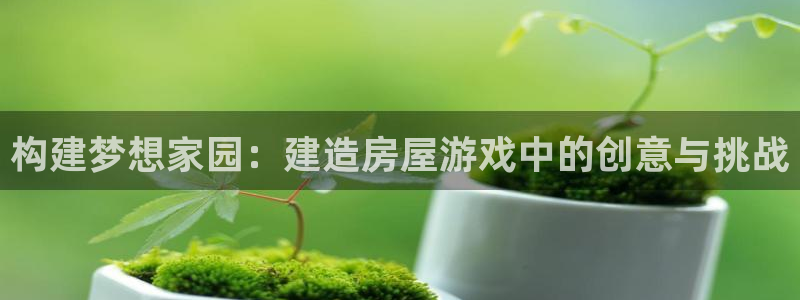 先锋娱乐社：构建梦想家园：建造房屋游戏中的创意与挑战