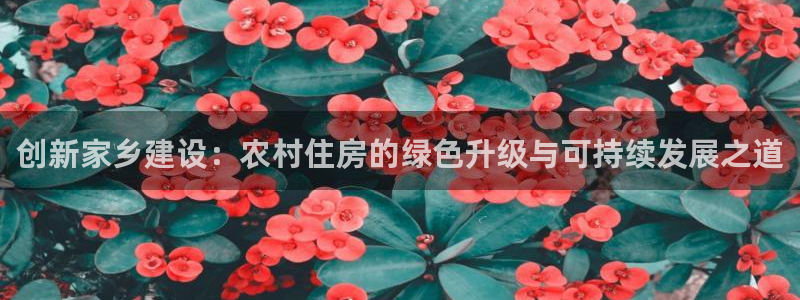 先锋娱乐体育管理集团：创新家乡建设：农村住房的绿色升级与可持续发展之道