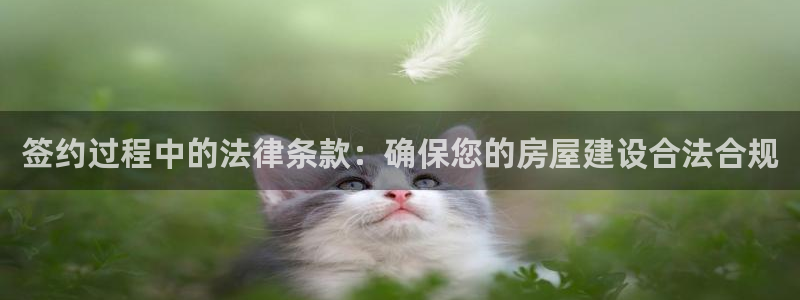威斯汀娱乐先锋：签约过程中的法律条款：确保您的房屋建设合法合规