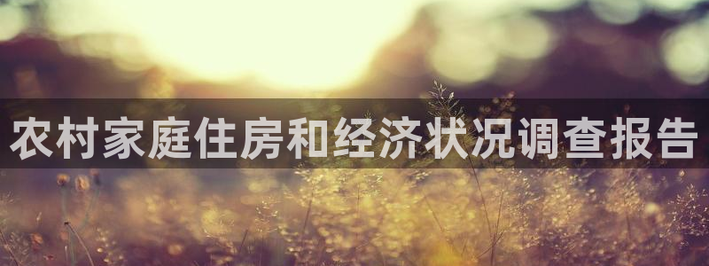 先锋娱乐管理集团：农村家庭住房和经济状况调查报告