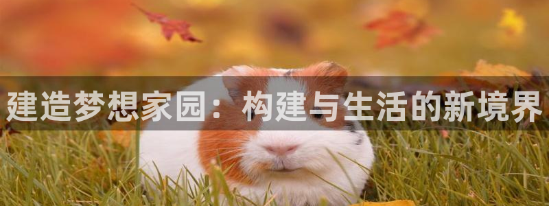 先锋娱乐提现多久到账：建造梦想家园：构建与生活的新境界