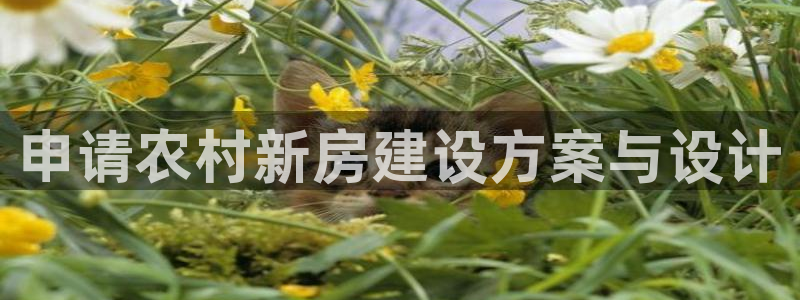 先锋岛娱乐：申请农村新房建设方案与设计