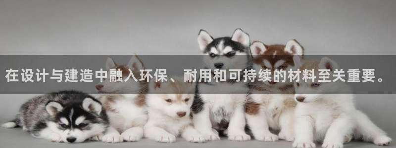 时代先锋娱乐：在设计与建造中融入环保、耐用和可持续的材料至关重要。