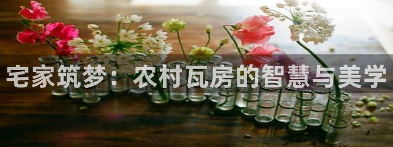先锋 娱乐：宅家筑梦：农村瓦房的智慧与美学