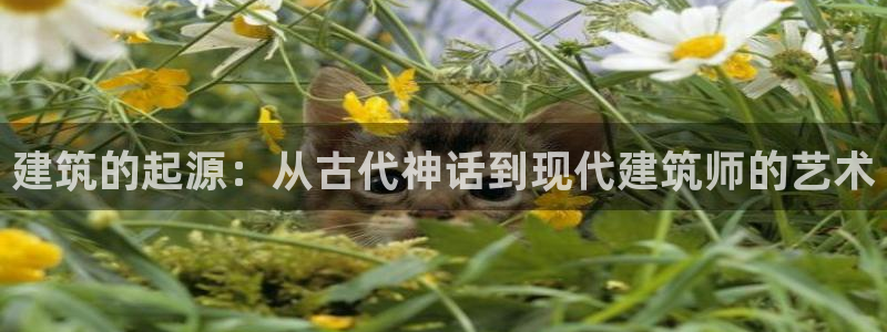 先锋娱乐传媒：建筑的起源：从古代神话到现代建筑师的艺术