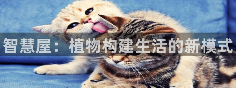 先锋娱乐快讯：智慧屋：植物构建生活的新模式
