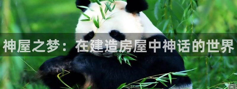 先锋娱乐集团：神屋之梦：在建造房屋中神话的世界