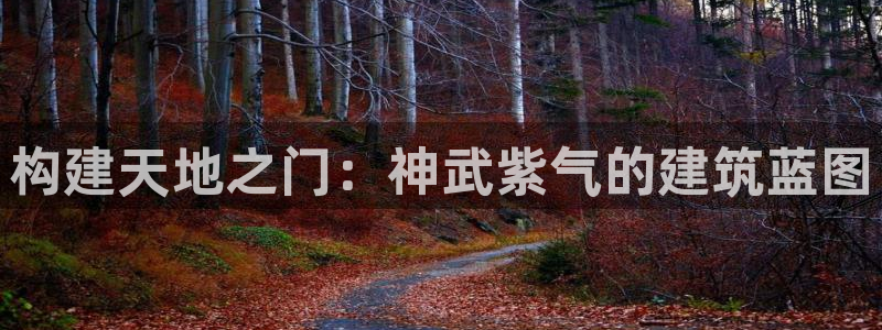 先锋娱乐转进去钱：构建天地之门：神武紫气的建筑蓝图