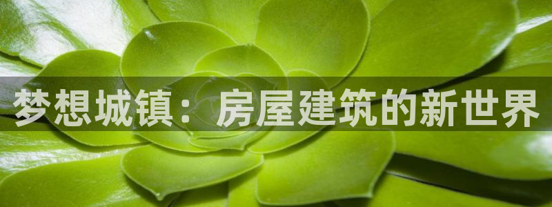 先锋娱乐官方：梦想城镇：房屋建筑的新世界