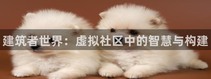 先锋娱乐币：建筑者世界：虚拟社区中的智慧与构建