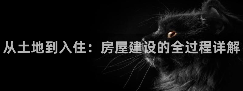先锋娱乐游戏大厅下载：从土地到入住：房屋建设的全过程详解