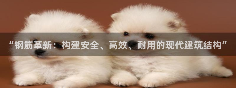 先锋娱乐属于违法吗：“钢筋革新：构建安全、高效、耐用的现代建筑结构”