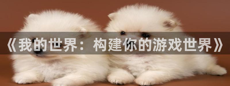 先锋娱乐游戏大厅下载：《我的世界：构建你的游戏世界》